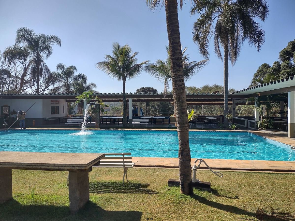 Piscina com coqueiros